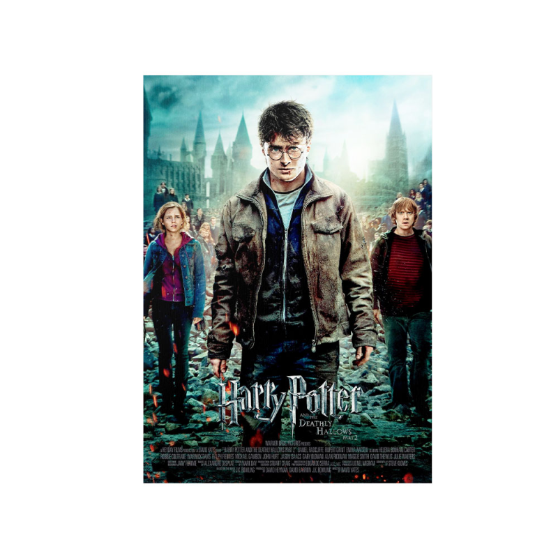 متال پوستر مستر پیکد طرح هری پاتر Harry Potter کد PCD-MB1063