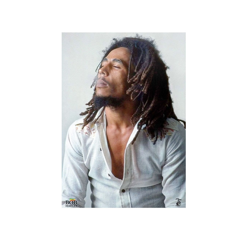 متال پوستر مستر پیکد طرح Bob Marley باب مارلی کد PCD-MB1058