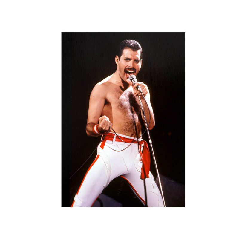 متال پوستر مستر پیکد طرح Freddie Mercury فردی مریکوری کد PCD-MB1051