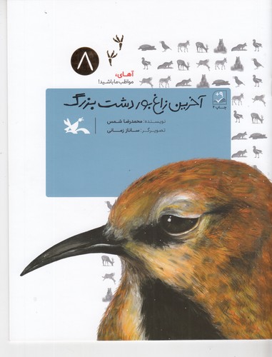 کتاب آهای مواظب ما باشید 8:  آخرین زاغ بور دشت بزرگ نشر کانون پرورش فکری کودکان و نوجوانان