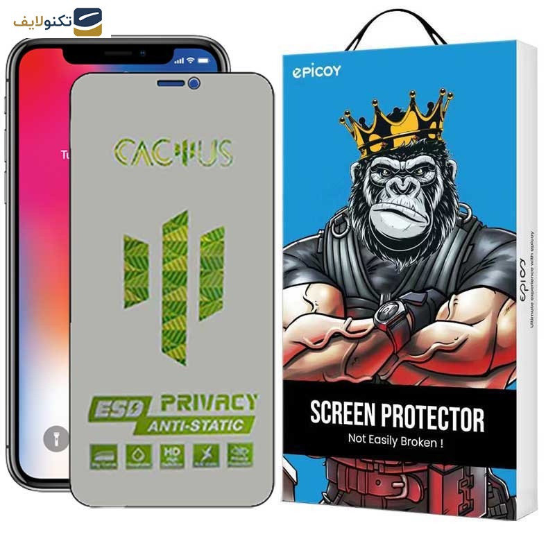 محافظ صفحه نمایش حریم شخصی اپیکوی مدل Cactus-ESD-Privacy مناسب برای گوشی موبایل اپل iPhone 11 Pro / Xs / X