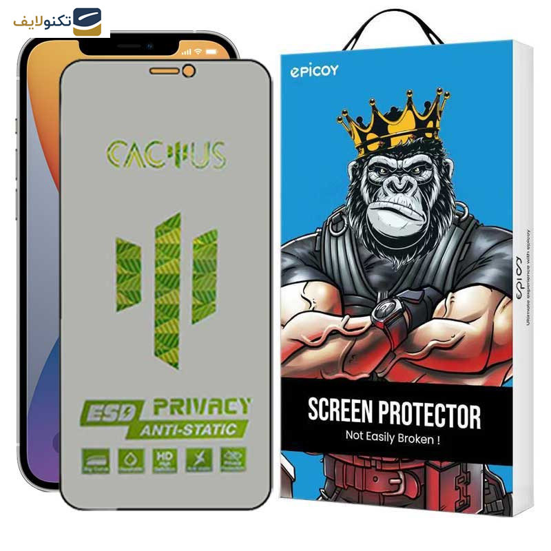 محافظ صفحه نمایش حریم شخصی اپیکوی مدل Cactus-ESD-Privacy مناسب برای گوشی موبایل اپل iPhone 12 Pro Max