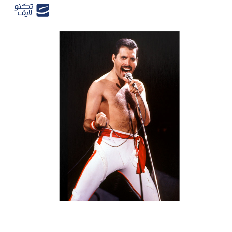 متال پوستر مستر پیکد طرح Freddie Mercury فردی مریکوری کد PCD-MB1051