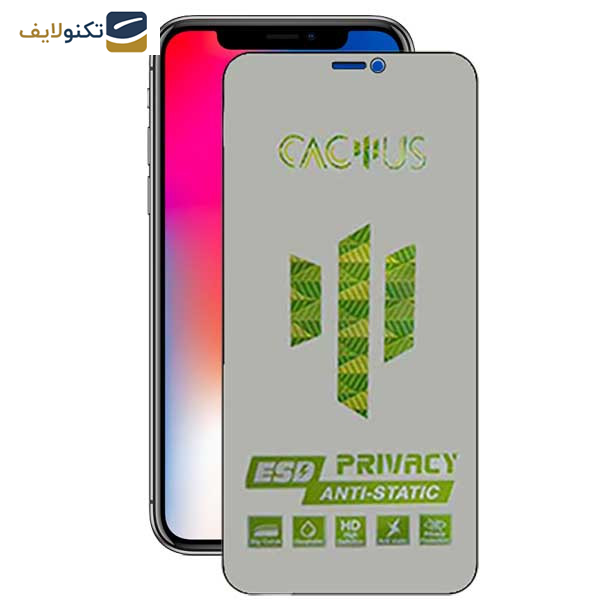  محافظ صفحه نمایش حریم شخصی اپیکوی مدل Cactus-ESD-Privacy مناسب برای گوشی موبایل اپل iPhone Xs/ X