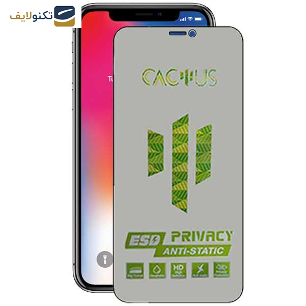 محافظ صفحه نمایش حریم شخصی اپیکوی مدل Cactus-ESD-Privacy مناسب برای گوشی موبایل اپل iPhone 11 Pro / Xs / X