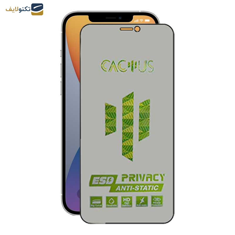 محافظ صفحه نمایش حریم شخصی اپیکوی مدل Cactus-ESD-Privacy مناسب برای گوشی موبایل اپل iPhone 12 Pro Max