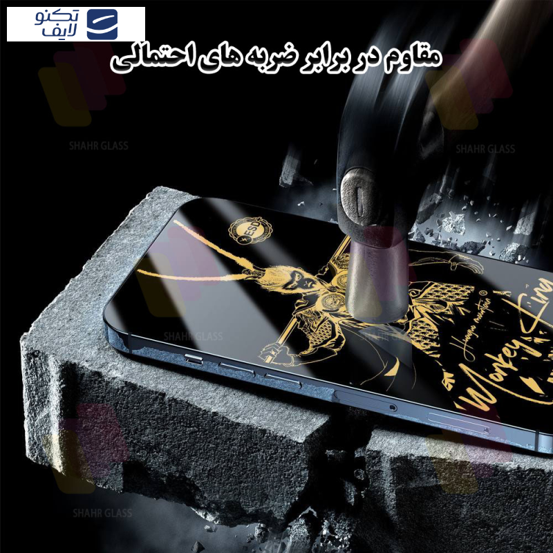 gallery-گلس گوشی اپل iPhone 12 - iPhone 12 Pro  شهر گلس مدل آنتی استاتیک ANTGS20 copy.png