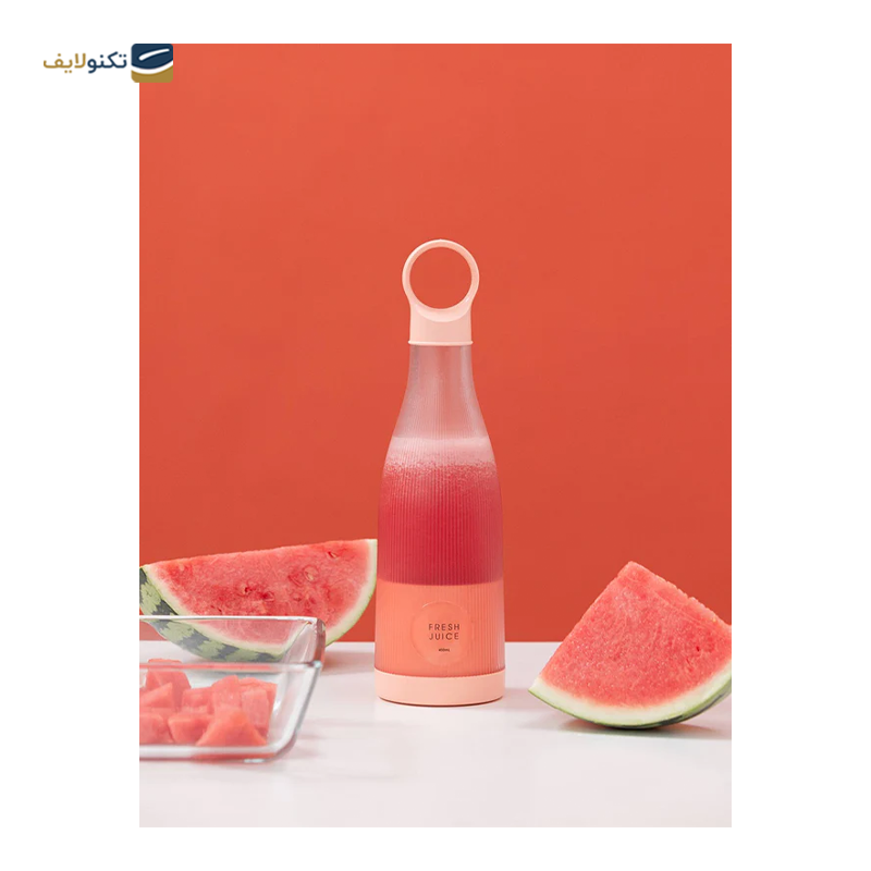 gallery-شیکر شارژی فرش جویس مدل Fresh Juice copy.png