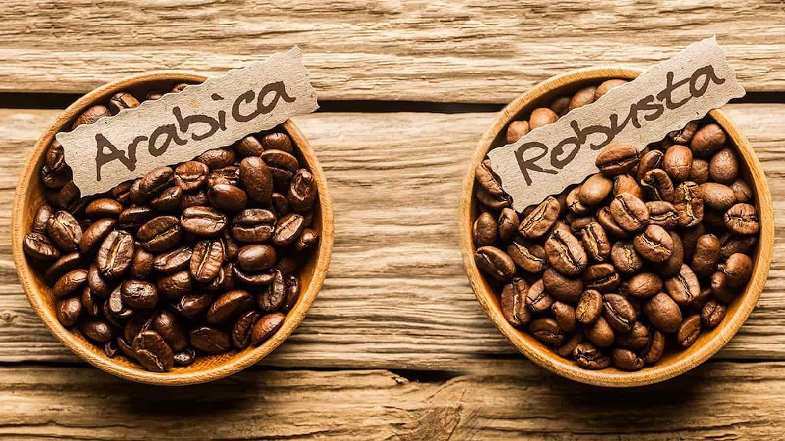 تفاوت قهوه عربیکا و روبوستا چیست؟
